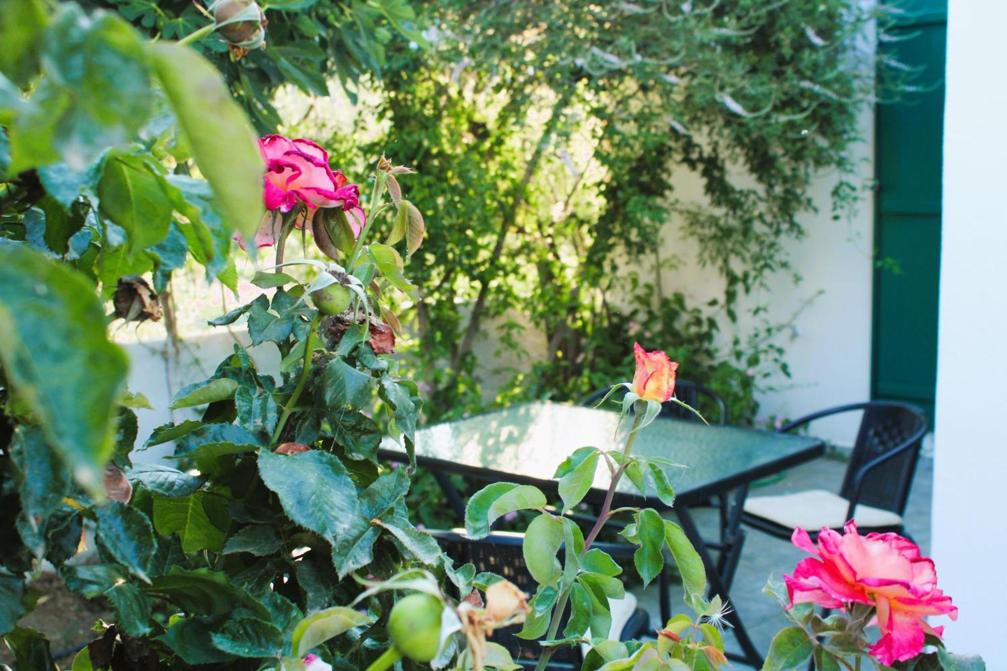 Astyvillas Λιβάδι Αστυπάλαιας Εξωτερικό φωτογραφία