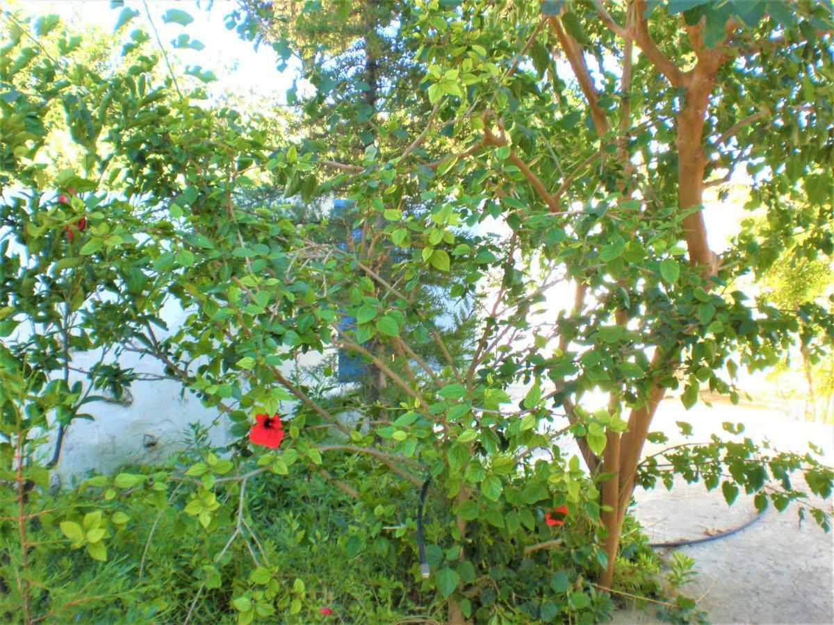 Astyvillas Λιβάδι Αστυπάλαιας Εξωτερικό φωτογραφία