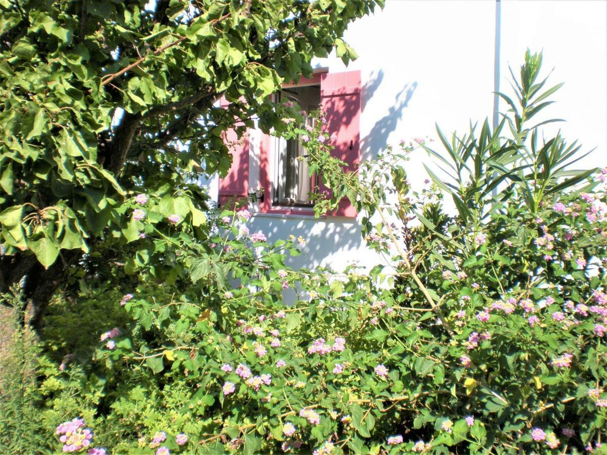 Astyvillas Λιβάδι Αστυπάλαιας Εξωτερικό φωτογραφία