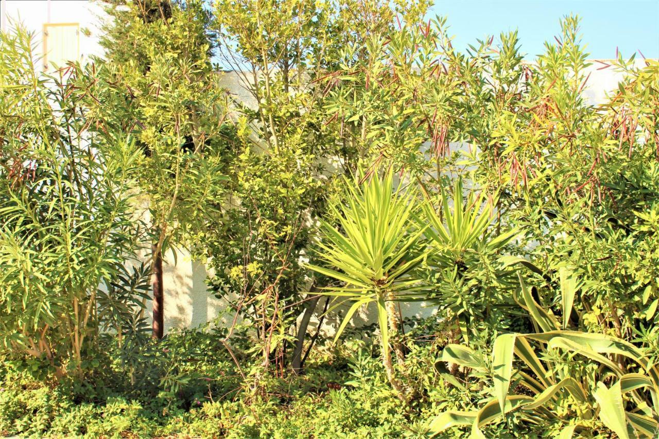 Astyvillas Λιβάδι Αστυπάλαιας Εξωτερικό φωτογραφία