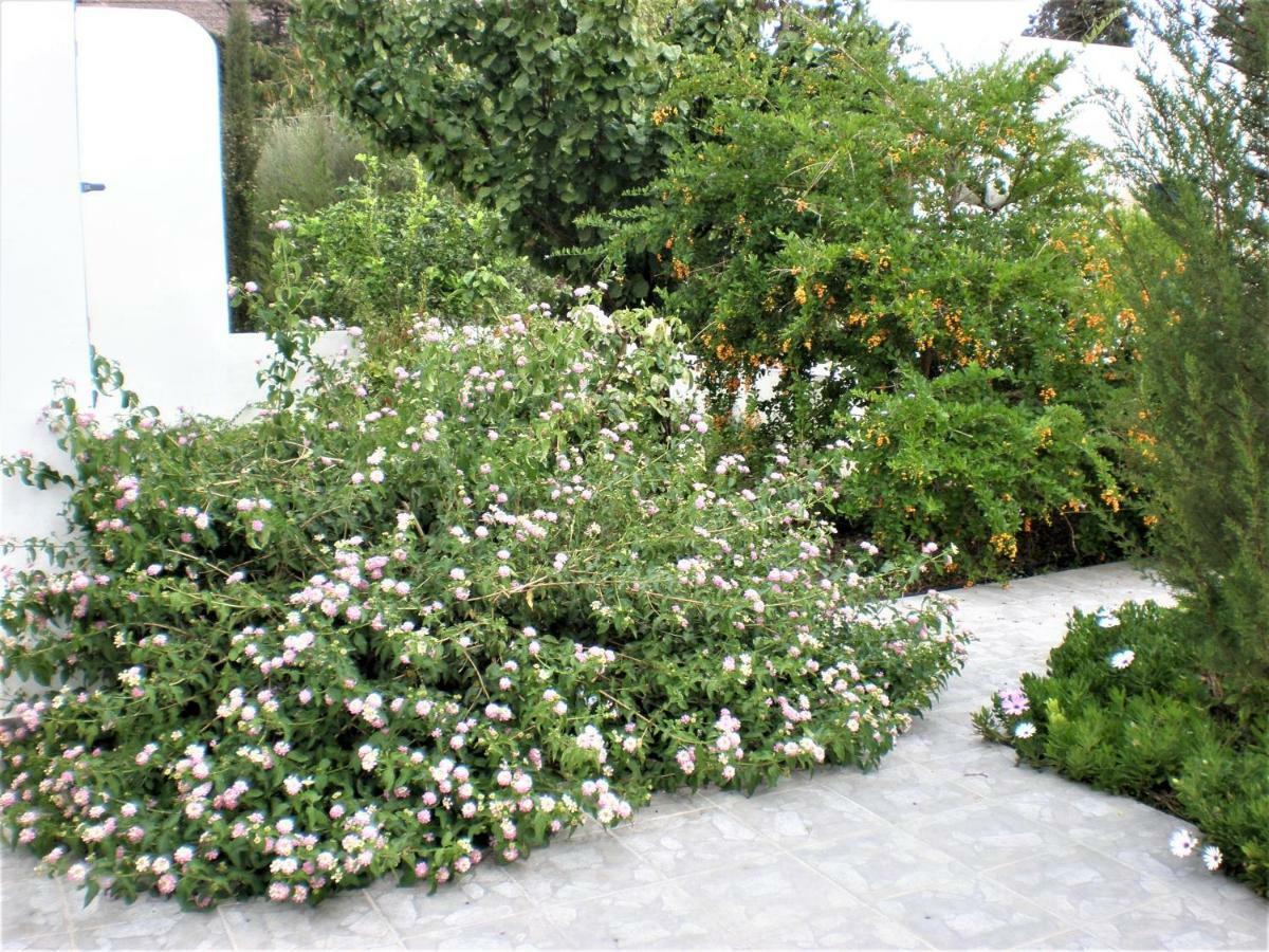 Astyvillas Λιβάδι Αστυπάλαιας Εξωτερικό φωτογραφία